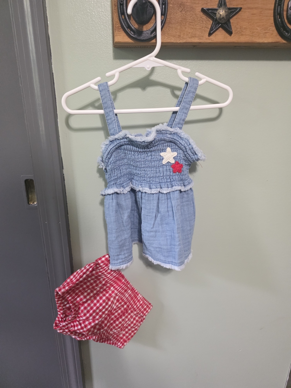 Cat & Jack Red Gingham Kids Matching Shorts